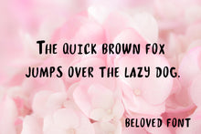 Load image into Gallery viewer, CG Beloved font  - Digital Download