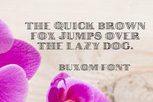Load image into Gallery viewer, CG Buxom Font - Digital Download