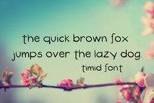 Load image into Gallery viewer, CG Timid Font - Digital Download