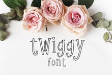 Load image into Gallery viewer, CG Twiggy Font - Digital Download